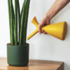 Chives - Image 2
